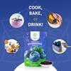SEL BERRY Organic Dried Blueberries - 100% Unsweetened Wild Blue Berries | Handpicked Freeze Dried Blueberries - Organic & Fresh | Dry Whole Fruit Blueberry - Rich in Antioxidants & No Sugar Added view 4