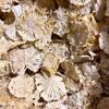 Dehydrated Dried Pineapple Slices Flowers | 100% Natural | For Cocktails, Snacking, Baking, Cakes, Cooking | No Added Sugar | GMO-Free, Vegan, Vegetarian | Drink Botanicals Ireland | 3.5 oz |100 Grams view 3
