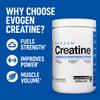 Evogen Creatine Monohydrate Powder - Micronized Creatine for Women & Men | Pure Creatine Powder Supplement for Strength, Power & Recovery | Unflavored | 60 Servings view 2