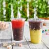 Comfy Package [Case of 500 20 oz. Clear Plastic Cups With Lids, Disposable Coffee Cups with Flat Lids - Ideal for Cold Beverages, Smoothies, and To-Go Drinks view 3