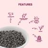 Being Bania Rajasthani Ker Dry Vegetable 200gms Ready to Cook Free Recipe on Pack Kair Sangari Premium and Authentic view 4