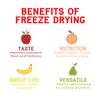 Natures Turn Freeze-Dried Apple Crisps  Healthy, Gluten-Free, Crispy & Delicious, Plant-Based Snack, Ideal for Cereal, Smoothies, School Lunches, & On-the-Go, Bags of 6 (1.2 oz Each) view 4