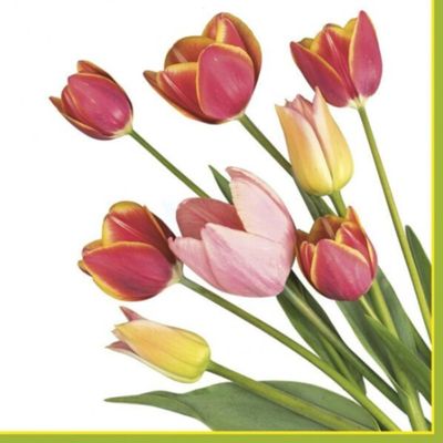 Keep Unique 20-ct 13x13 Tulips Paper Luncheon Decoupage Napkins, 3-Ply Servilletas Printed Tulips Flowers Napkin for Christmas Art, Dinner and Party, Disposable Napkins Decor (Tulips)