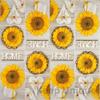 Keep Unique 20-ct 13x13 Sunflower Paper Luncheon Decoupage Napkins, 3-Ply Servilletas Sunflower Heart Napkin for Christmas Art, Dinner and Party, Disposable Napkins Decor (Sunflower Heart) view 4