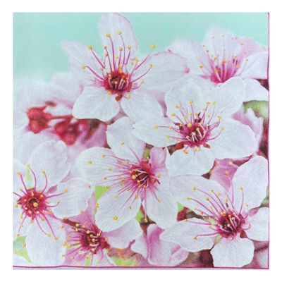 Keep Unique 20-ct 13x13 Cherry Paper Luncheon Decoupage Napkins, 3-Ply Servilletas Printed Cherry Blossom Napkin for Christmas Art, Dinner and Party, Disposable Napkins Decor (Cherry Blossom)
