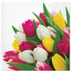 Keep Unique 20-ct 13x13 Tulips Paper Luncheon Decoupage Napkins, 3-Ply Servilletas Printed Bunch Tulips Napkin for Christmas Art, Dinner and Party, Disposable Napkins Decor (bunch of tulips) view 1