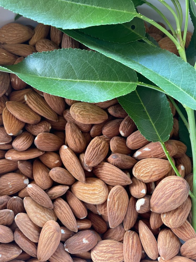 5 Lbs Organic Unpasteurized Almonds | Truly Raw | California Family Farmer Direct | Shelled | Certified Organic | Vegan | Non-GMO | Regenerative Agriculture