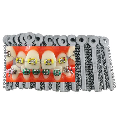 1040Pcs/Bag Dental Orthodontic Practice for Teeth Model Use Ligature Ties Elastic Rubber Bands Silver Grey Color 1040-8#