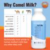 Camel Culture 3 Pint Camel Milk  Grass Fed, Gluten Free, Low Lactose Milk Pint - Pasture Raised & Non-Homogenized Healthy Drinks For Kids & Adults - Non-GMO, Low Fat Health Drink view 4