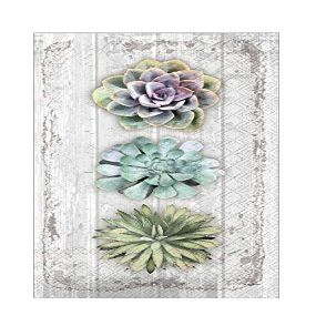 Boston International Disposable Hand Towels, Decorative Paper Guest Towels for Bathroom or Paper Napkins Dinner Napkins Succulents Cactus Decor Pak 64 (BF026500)