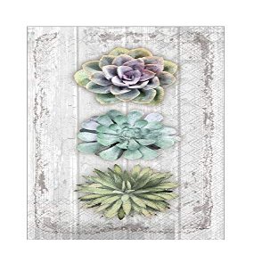 Boston International Disposable Hand Towels, Decorative Paper Guest Towels for Bathroom or Paper Napkins Dinner Napkins Succulents Cactus Decor Pak 64 (BF026500)