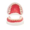 Do It Yourself Denture Fake Teeth Top and Bottom Temporary Teeth for Improve Smiling view 1