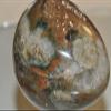  Bella-gems  2.4"-181gm "Individual Selected/Stunning"~Ocean Jasper Orbicular w/Vug Jumbo Egg Stone Crystal Healing - B1360 view 4
