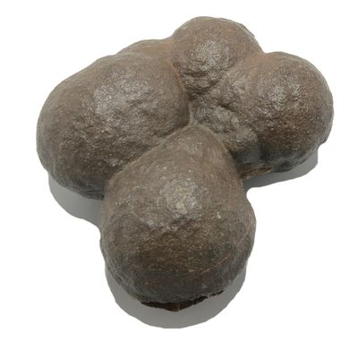 Satin Crystals Moqui Marble Cluster Abundance Shaman Stone 3.5-3.75 Inches