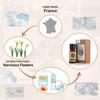 AKARZ Narcissus Essential Oil Natural Organic Pure Narcissus Oil for Skin Body Hair Care,Diffuser, Candle,Soap,Making, DIY,Massage Aroma 0.34 Fl Oz (10ml) view 2