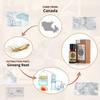 AKARZ Ginseng Essential Oil Natural Organic Pure Ginseng Oil for Skin Body Hair Care, Candle,Soap,Making, DIY,Massage Aroma 0.34 Fl Oz (10ml) view 2