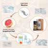AKARZ Grapefruit Essential Oil Natural Organic Pure Premium Therapeutic Grapefruit Oil for Skin Body Hair Care,Diffuser, Candle,Soap,Making, DIY,Massage Aroma 0.34 Fl Oz (10ml) view 2