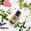 AKARZ Honey Peach Essential Oil Natural Organic Pure Honey Peach Oil for Skin Body Hair Care, Candle,Soap,Making, DIY,Massage Aroma 0.34 Fl Oz (10ml) view 4