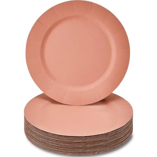 Silver Spoons Elegant Disposable Charger Plates For Party - (10 Piece) Heavy Duty Disposable Dinner Set 13, Fine Dining Charger Dishes For Elegant China Look, Great for Upscaled Wedding, Dining & Servings, Blush