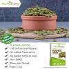 Admart Raw Pumpkin Seeds for Eating (250 g) view 2