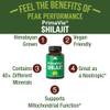 PrimaVie Purified Shilajit Capsules Made with Pure Shilajit Powder. Clinically Tested Natural Supplement with 40+ Trace Minerals, Fulvic Acid. Tablets Support Mitochondria + Brain Function view 2