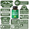 PrimaVie Purified Shilajit Capsules Made with Pure Shilajit Powder. Clinically Tested Natural Supplement with 40+ Trace Minerals, Fulvic Acid. Tablets Support Mitochondria + Brain Function view 3