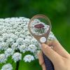 20 x & 10 x Handheld Magnifier Glass with Protective Sleeve, Small Reading Magnifying Glass with Non Slip Handle, Portable Hand Held for Seniors Students Exploring (65mm, Blue & White) view 4