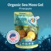 YEMAYA THE NATURAL WAY Yemay Organic Sea Moss Gel Organic Raw | Wildcrafted Sea Moss Gel Enhanced with Real Fruit, Boost Immunity, Energy, Digestion, Hair, Skin & Nails - 16 oz, Pinaple Flavor view 2