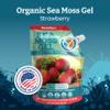Yemay Organic Sea Moss Gel Organic Raw | Wildcrafted Seamoss Gel Enhanced with Real Fruit, Supports Immunity, Energy, Digestion, Hair, Skin & Nails | 16 oz, Strawberry Flavor view 2