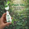 Vishopy Tulsi Drops- Concentrated Extract of 5 Rare Tulsi for Natural Immunity Boosting & Cough and Cold Relief 30ml view 2