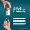 Snap Supplements Gut Health Supplement with Probiotics for Women & Men, Digestive Enzymes & Prebiotics - Turmeric, Aloe, Pylopass & Zinc, 50 Vegetarian Capsules view 3