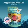 Yemay Organic Sea Moss Gel Organic Raw | Wildcrafted Seamoss Gel Enhanced with Real Fruit, Supports Immunity, Energy, Digestion, Hair, Skin & Nails | 16 oz, Natural Flavor view 2