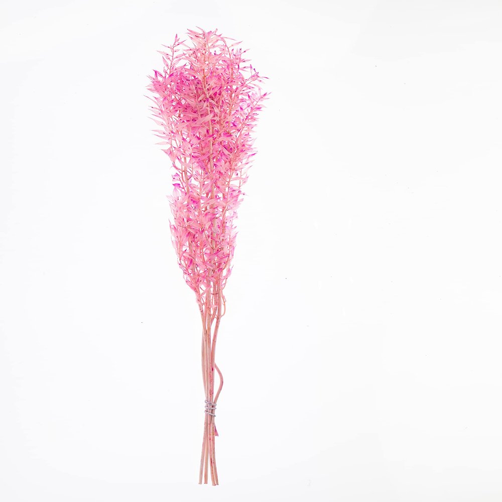 Dried Italian Ruscus (Approximately 30in Tall) Preserved Italian Ruscus for Any Event's Decoration (Pink)