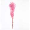 Dried Italian Ruscus (Approximately 30in Tall) Preserved Italian Ruscus for Any Event's Decoration (Pink) view 1