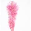 Dried Italian Ruscus (Approximately 30in Tall) Preserved Italian Ruscus for Any Event's Decoration (Pink) view 2