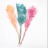 Dried Italian Ruscus (Approximately 30in Tall) Preserved Italian Ruscus for Any Event's Decoration (Pink) view 4