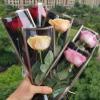 100 Pcs Clear Gold Edge Rose Packaging Bag Single Rose Packaging Bag, Waterproof Floral Wrapping Paper (black) view 4