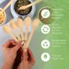 Jenvita 100% Bamboo Spoons Set - Biodegradable Silverware (100 Small Bamboo Spoons) | Reusable or Disposable Party Cutlery | Compostable FSC Certified Flatware for Weddings, Camping, Parties view 3