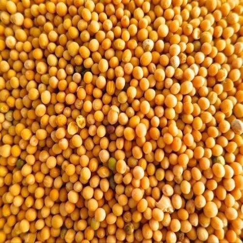 2kg Mustard Seeds Yellow Sarso Seeds PILI sarso(Rai) by Tradebulk