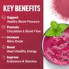 Force Factor Total Beets Delicious Superfood Powder with Nitrates to Support a Healthy Heart, Circulation, Blood Flow, Nitric Oxide, Energy, Stamina, & Cardiovascular Heart Health, 30 Servings view 2