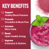 Total Beets Superfood Beet Root Powder 2-Pack, Nitrates to Support Circulation, Blood Flow, Nitric Oxide, Energy, Endurance, Stamina, Cardiovascular Heart Health Supplement, Force Factor, 60 Servings view 2