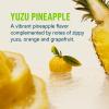 Liquid I.V. Hydration Multiplier +Energy - Yuzu Pineapple | Electrolyte Powder Drink Mix | 1 Pack (14 Servings) view 2