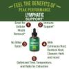 Lymphatic Drainage Drops. Sugar Free 7-in-1 Lymph Detox and Cleanse Support. Vegan Supplement with Echinacea, Red Clover Blossom, Burdock Root, Cleavers Herb, Licorice Root, and More! view 2