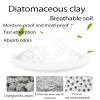 Rouly 5 Packs Diatom Drying Rod Stick Absorb Absorption Rod Desiccant Water Absorption Keep Dry Stick Deodorization Gift,Moisture-Proof Clothing, Repetition Use view 3