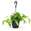 Golden Pothos Plant Live in Hanging Planter Pot Live by Plants for Pets, 1 Count view 1