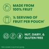 GoGo squeeZ Applesauce and Fruit Puree Variety Pack, Apple, Mango Guava & Pineapple Passionfruit, 3.2 oz (Pack of 20), Unsweetened Fruit Snacks for Kids, No Gluten, Nut & Dairy, BPA Free Pouches view 4