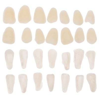 EXCEART 100 Pieces Artificial Resin Teeth Veneer Fillings - Temporary Replacements for Tooth Repair Supply