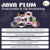 Indus Farms Java Plum Fruit Powder | Exotic sweet-astringent flavor for Baking, Beverages/Cocktails, Nutritious Food Coloring | GMO-Free, Vegan, Plant-based | 2 LB view 3