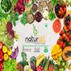 Veena Camel Milk Powder | Freeze Dried, Gluten Free, No Additives, No Preservatives - 100 GM by B Naturall view 4