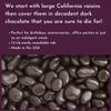 WinCrest Dark Chocolate Covered Raisins (1.5 Lb Tub) view 2